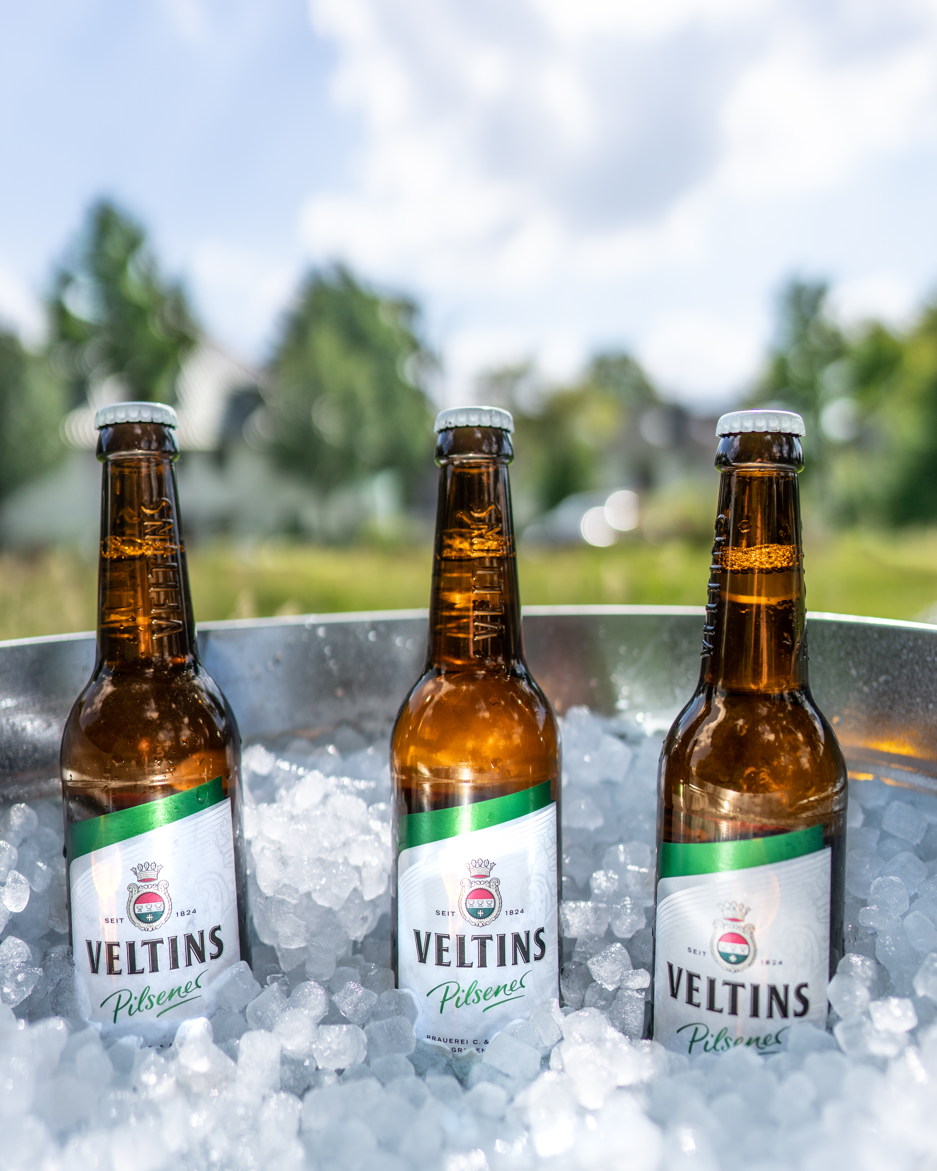 Veltins Pilsener