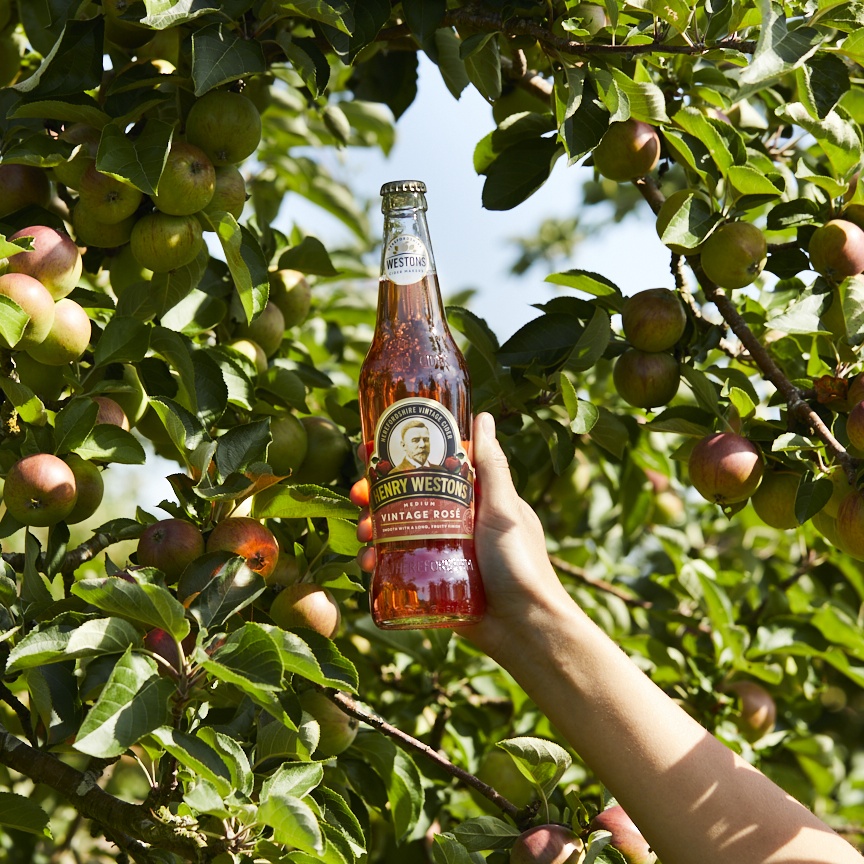Henry Westons Vintage Rose