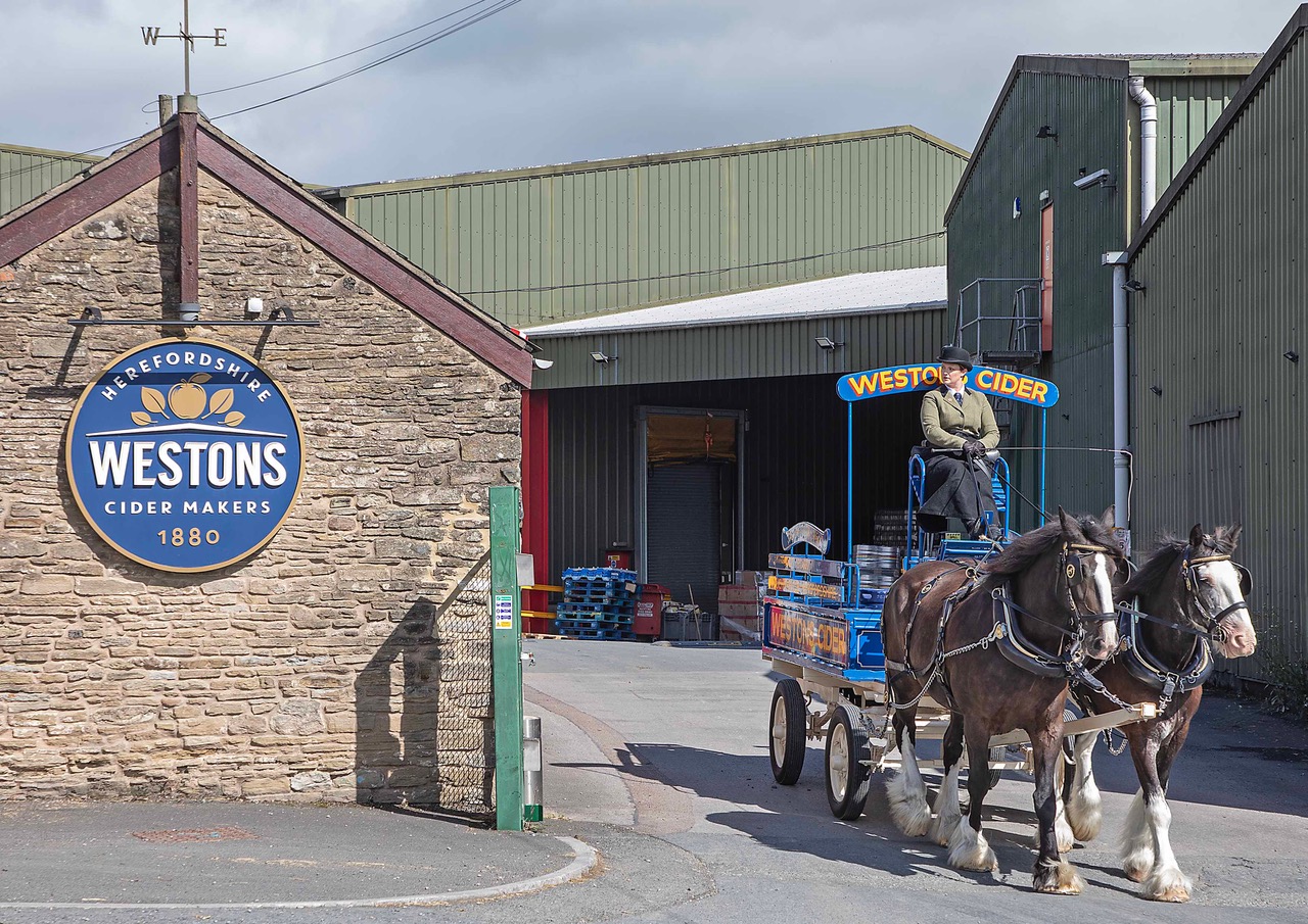 At The Cider Mill, Photo Credit John Styles
