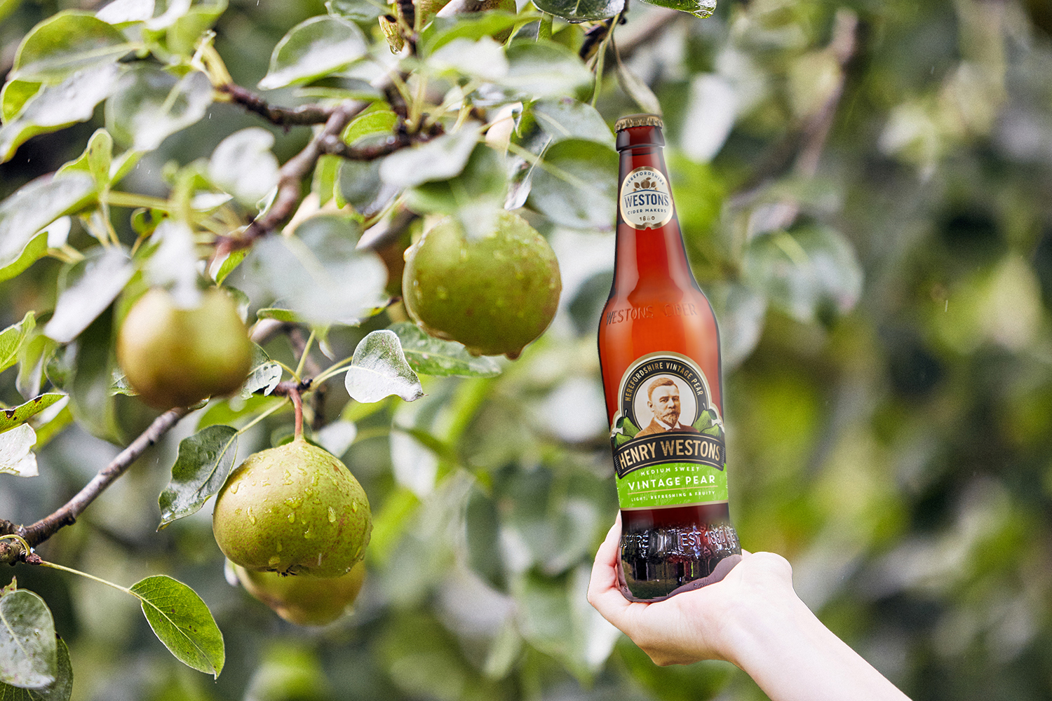 Henry Westons Vintage Pear 